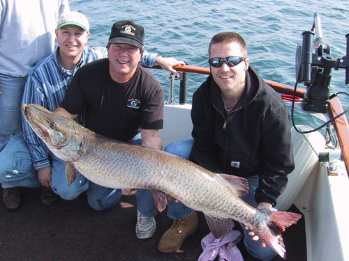 Click to expand / contract the width of this image