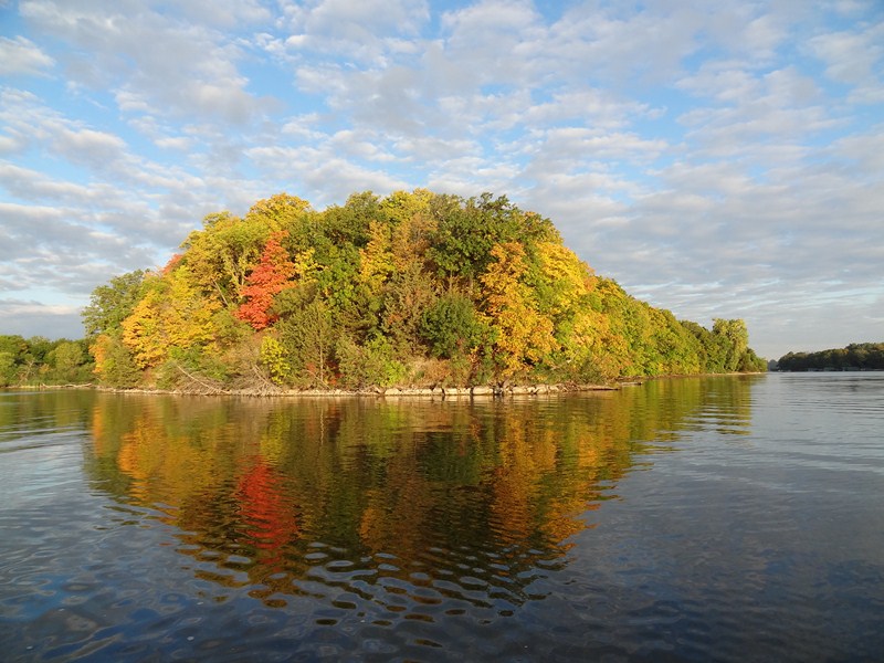 Click to expand / contract the width of this image