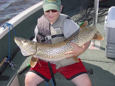 Click to expand / contract the width of this image