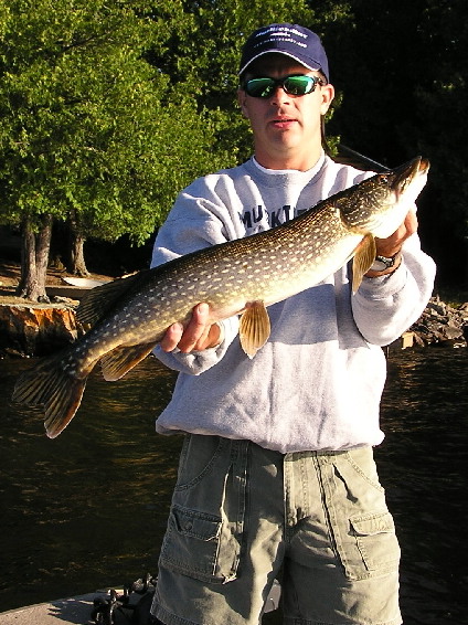 Click to expand / contract the width of this image