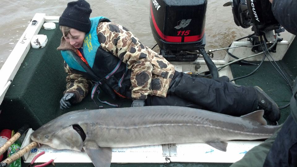 Click to expand / contract the width of this image