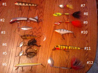 Click to expand / contract the width of this image