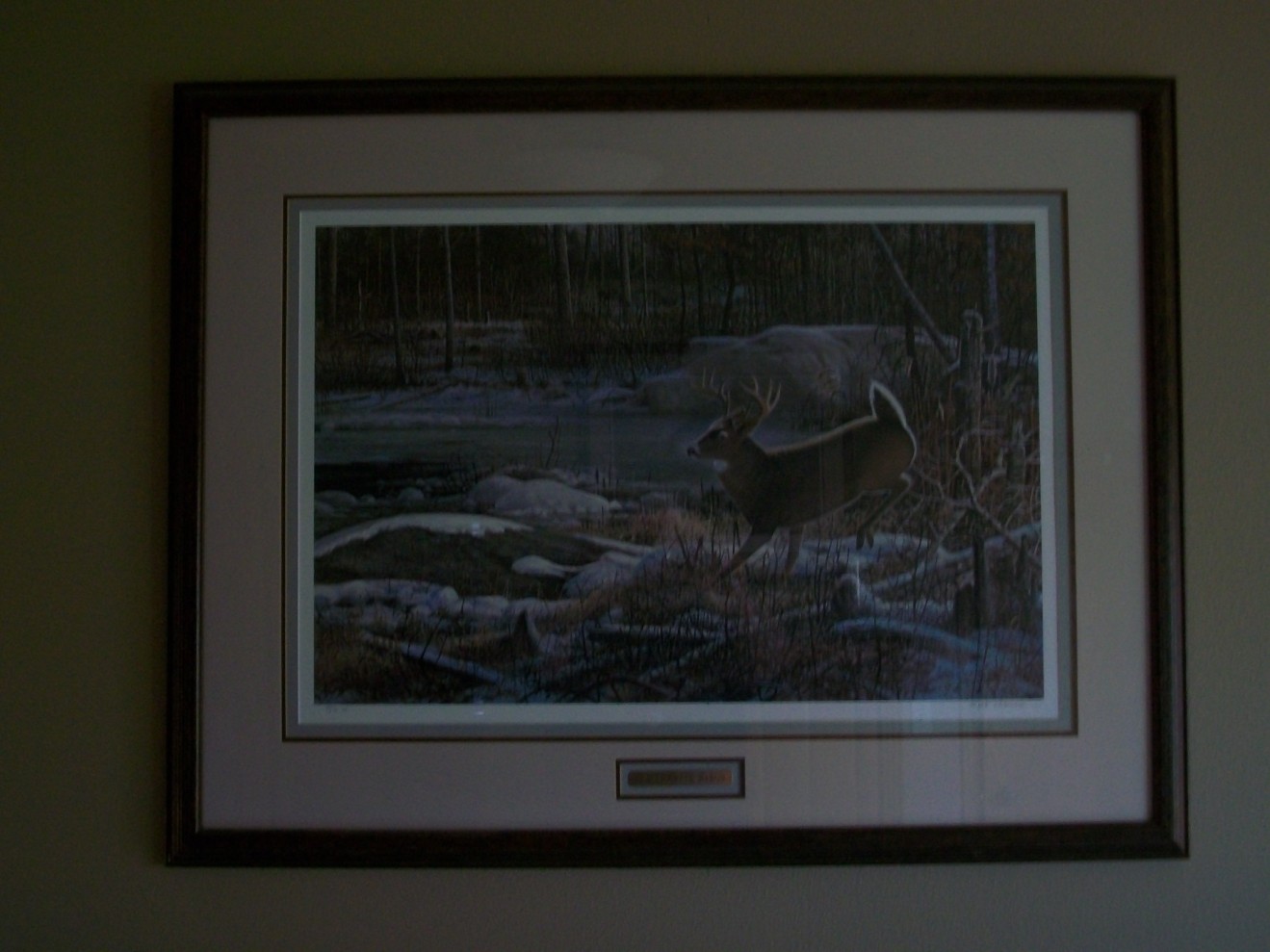 Click to expand / contract the width of this image