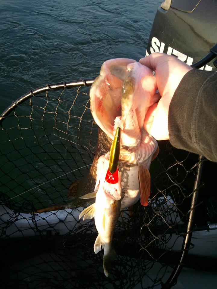 Click to expand / contract the width of this image