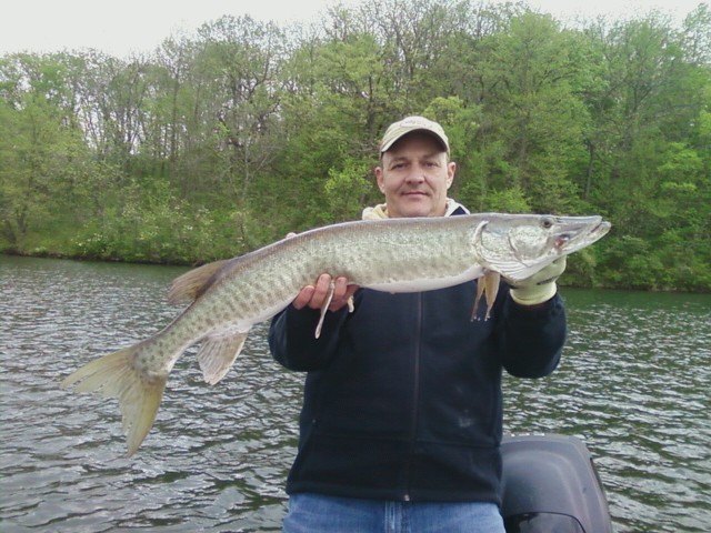 Click to expand / contract the width of this image