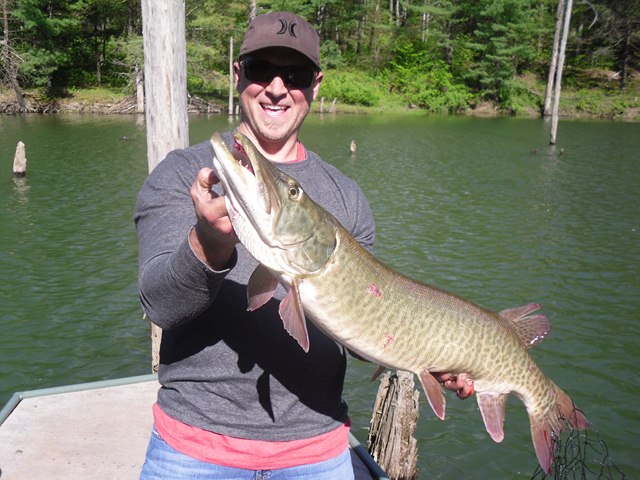 Click to expand / contract the width of this image