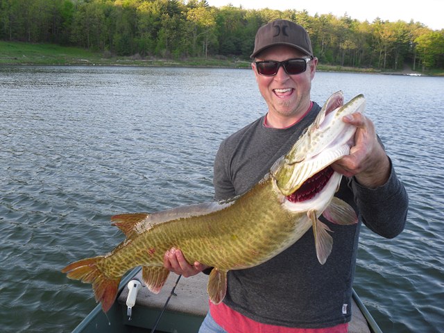 Click to expand / contract the width of this image