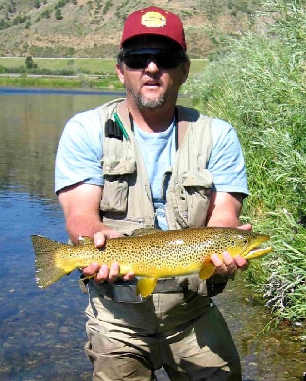 Click to expand / contract the width of this image