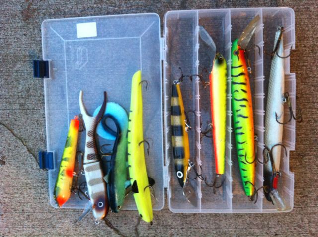 Click to expand / contract the width of this image