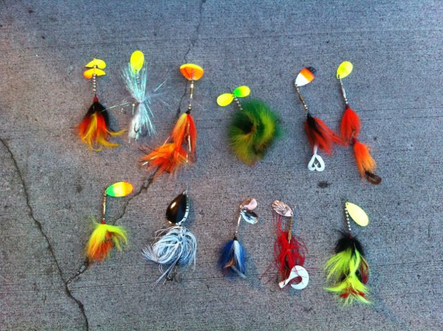 Click to expand / contract the width of this image