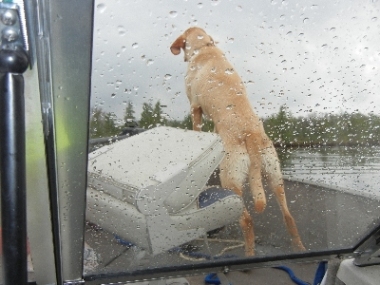 Click to expand / contract the width of this image