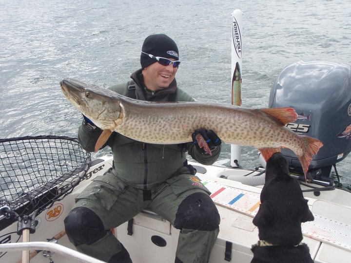 Click to expand / contract the width of this image