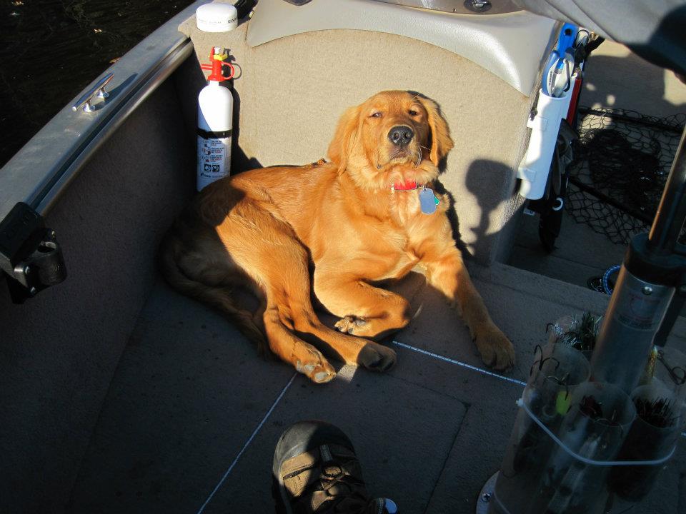 Click to expand / contract the width of this image