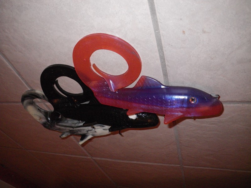 Click to expand / contract the width of this image