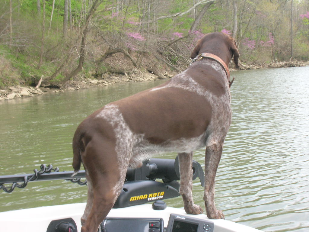 Click to expand / contract the width of this image