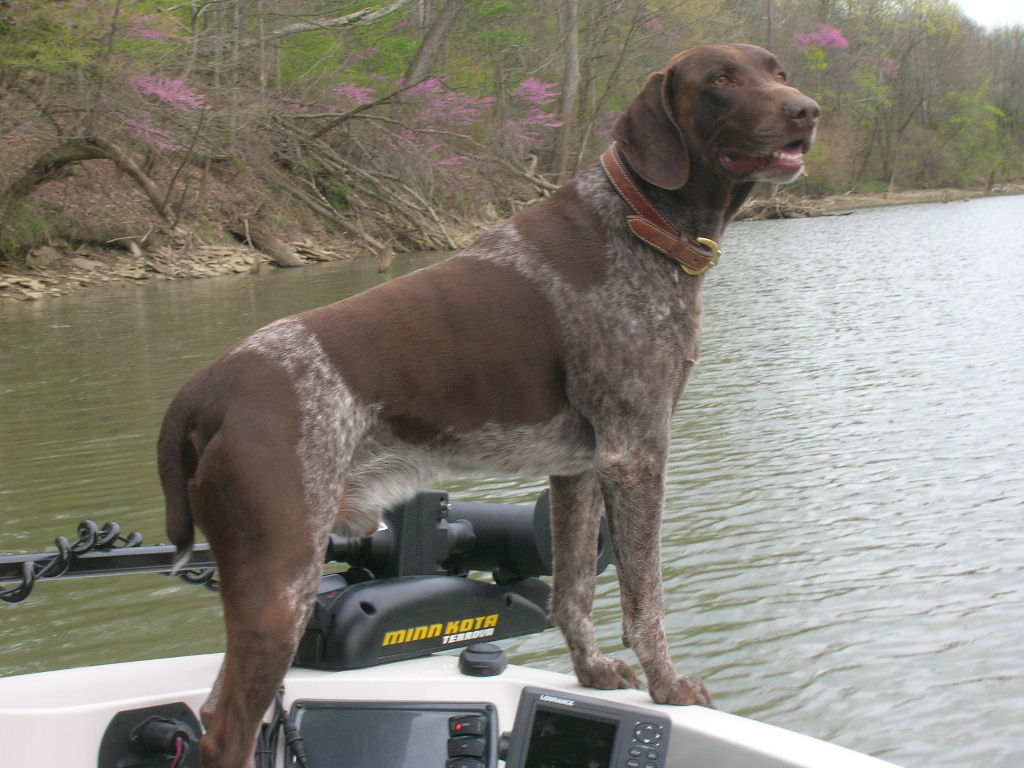 Click to expand / contract the width of this image