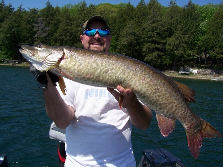 Click to expand / contract the width of this image