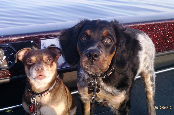 Click to expand / contract the width of this image