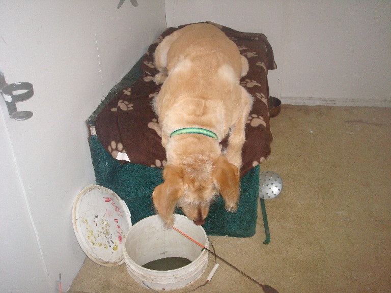 Click to expand / contract the width of this image