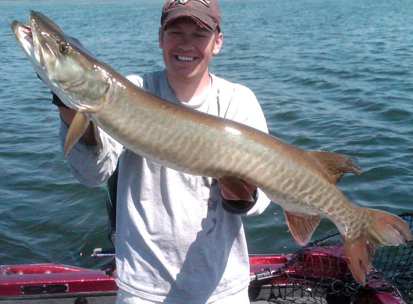 Click to expand / contract the width of this image