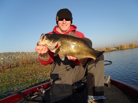 Click to expand / contract the width of this image