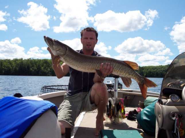 Click to expand / contract the width of this image