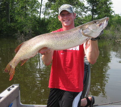 Click to expand / contract the width of this image