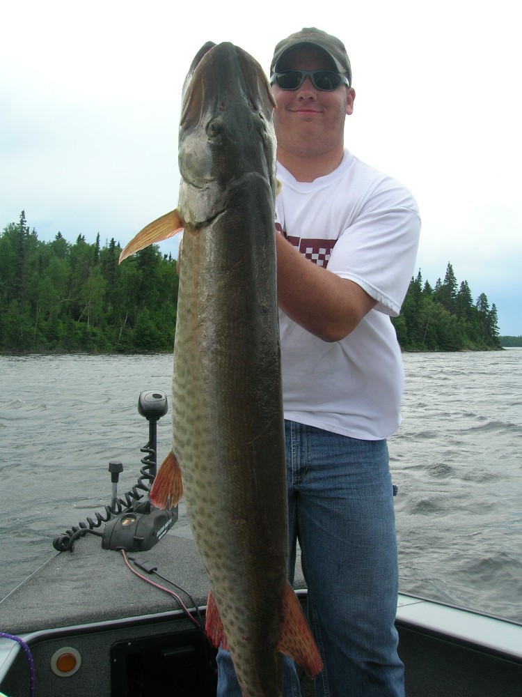 Click to expand / contract the width of this image