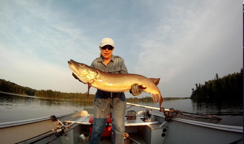 Click to expand / contract the width of this image