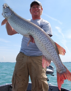 Click to expand / contract the width of this image