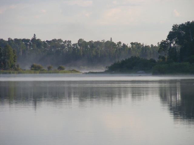 Click to expand / contract the width of this image