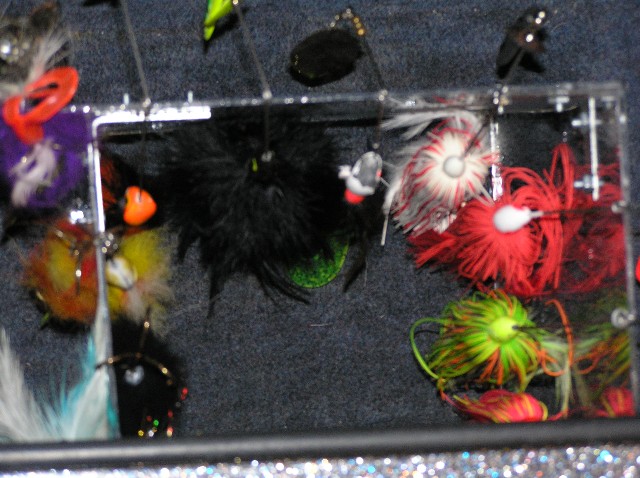 Click to expand / contract the width of this image