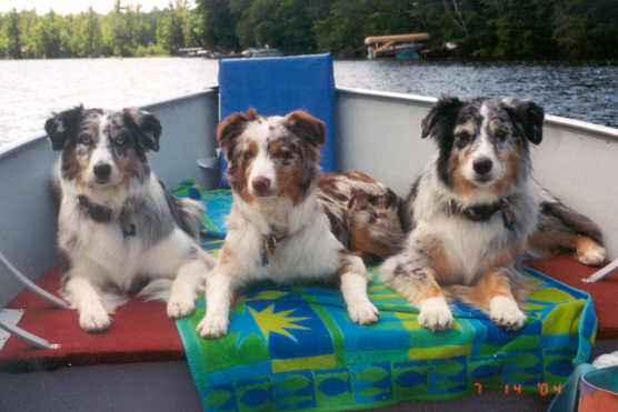 Click to expand / contract the width of this image