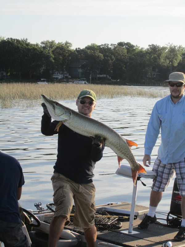 Click to expand / contract the width of this image