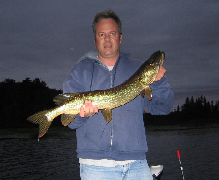 Click to expand / contract the width of this image