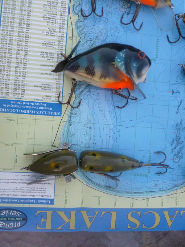 Click to expand / contract the width of this image