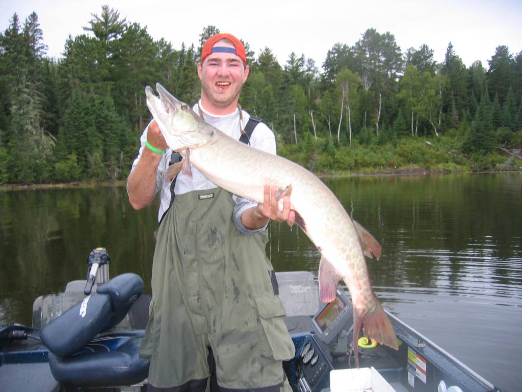 Click to expand / contract the width of this image