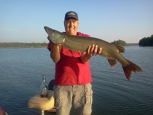 Click to expand / contract the width of this image