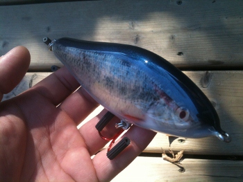 Click to expand / contract the width of this image