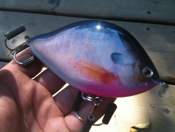 Click to expand / contract the width of this image