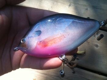 Click to expand / contract the width of this image