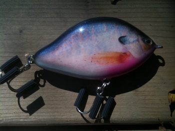 Click to expand / contract the width of this image