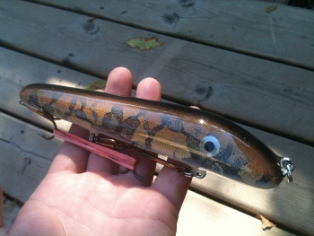 Click to expand / contract the width of this image