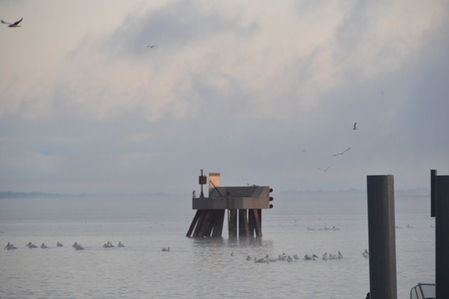 Click to expand / contract the width of this image