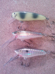 Click to expand / contract the width of this image