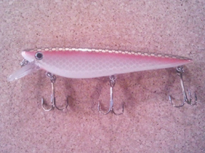 Click to expand / contract the width of this image