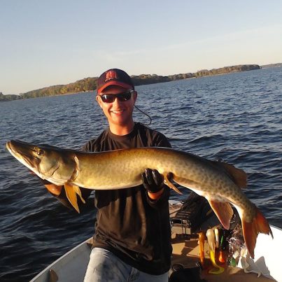 Click to expand / contract the width of this image