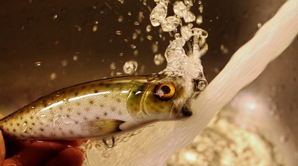 Click to expand / contract the width of this image