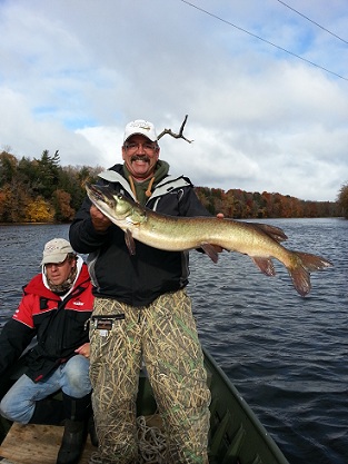 Click to expand / contract the width of this image