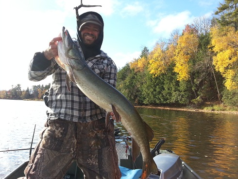 Click to expand / contract the width of this image